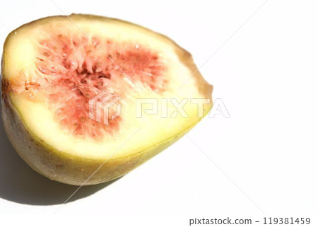 Fig flower fruits 119381459