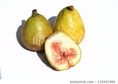 Fig flower fruits 119381460