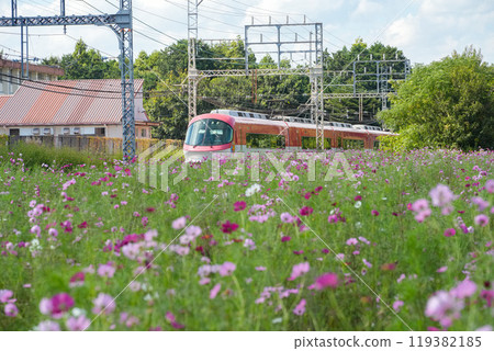 Kintetsu Limited Express Ise-Shima Liner and Autumn Cherry Blossoms Kintetsu Limited Express Ise-Shima Liner and Autumn Cherry Blossoms 119382185