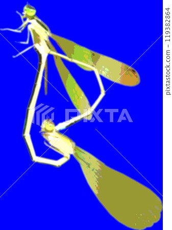 Asian Damselfly Link 119382864