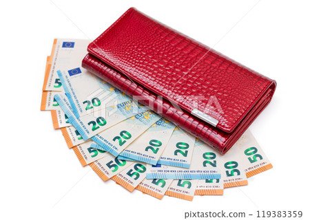 Red Leather Women Purse with Different Euro Banknotes - Isolated on White 119383359