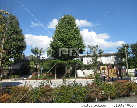 Near Nishikata Park 119384006