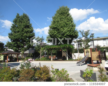 Near Nishikata Park 119384007