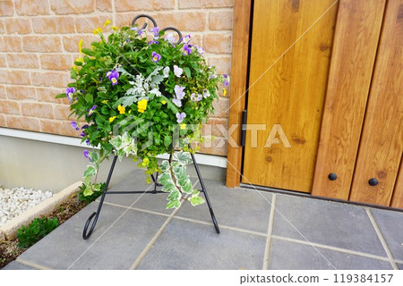 中提琴吊籃 中提琴吊籃 119384157