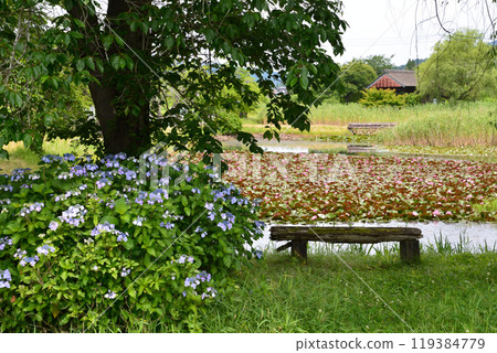 我去了根岸水庫#20 119384779