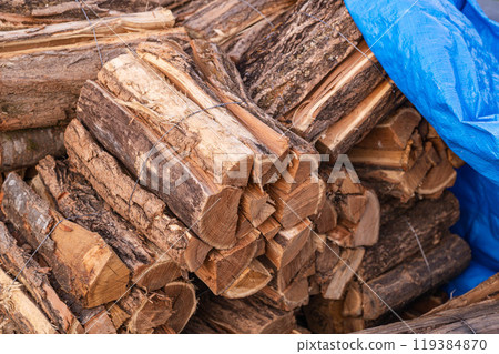 Bundle of firewood, oak tree 119384870