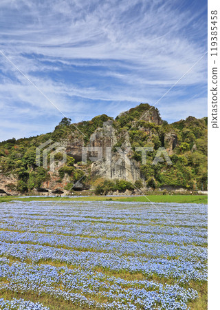 Popular tourist spots Yabakei Aonodomon and Nemophila fields in Oita Prefecture 119385458