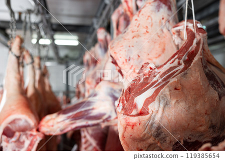 Slabs of raw beef ribs hanging in cold storage of butchery Slabs of raw beef ribs hanging in cold storage of butchery 119385654