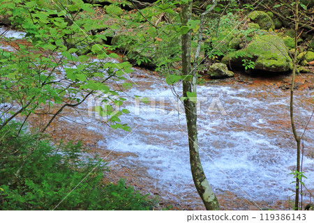 蓼科中央高原橫屋峽谷 蓼科中央高原橫屋峽谷 119386143