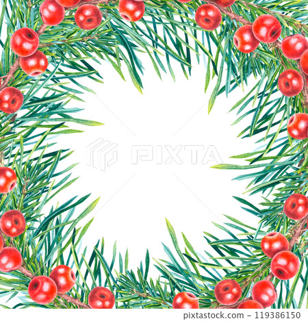 Christmas square frame with holly berries, coniferous branches. Hand drawn winter template on isolated background. Illustration of evergreen plant for new year greetings cards or wedding invitations. Christmas square frame with holly berries, coniferous branches. Hand drawn winter template on isolated background. Illustration of evergreen plant for new year greetings cards or wedding invitations. 119386150