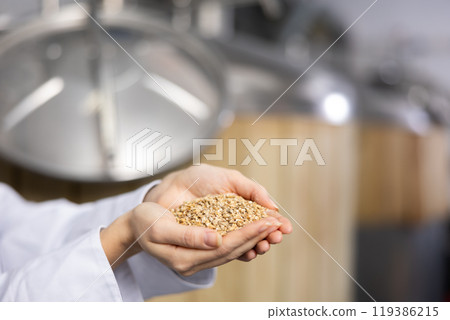 Barley in female palms close-up against the background of brewery 119386215