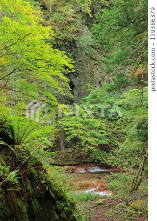 Tateshina Central Plateau: Yokoya Gorge Tateshina Central Plateau: Yokoya Gorge 119386379