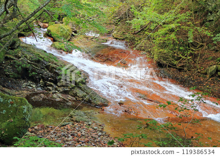 Tateshina Central Plateau: Yokoya Gorge Tateshina Central Plateau: Yokoya Gorge 119386534