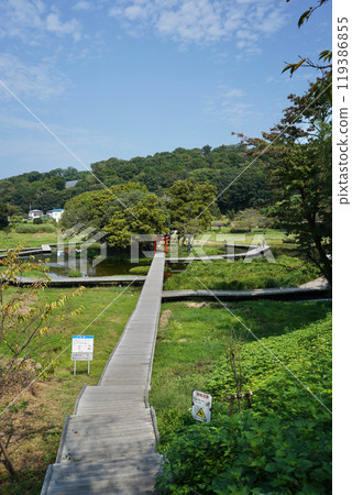 日本神奈川縣足利上郡嚴島神社 119386855