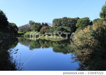 金山綠地公園 金山綠地公園 119387222