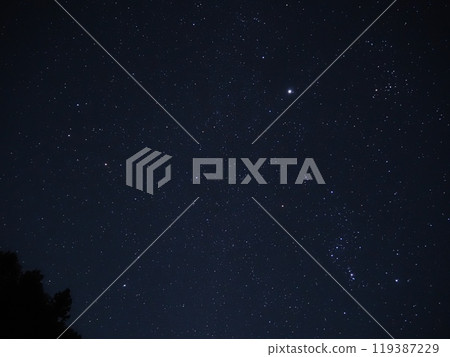 雙子座和獵戶座 雙子座和獵戶座 119387229