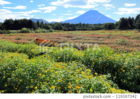 Flower fields at Lake Motosu and Mt. Fuji Flower fields at Lake Motosu and Mt. Fuji 119387342