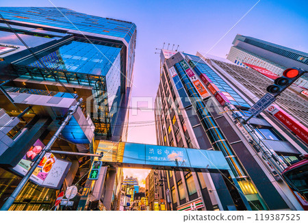 日本十月的東京城市景觀,澀谷站南口。澀谷中央街、倒影鶴、澀谷福拉斯等景觀=14日 日本十月的東京城市景觀,澀谷站南口。澀谷中央街、倒影鶴、澀谷福拉斯等景觀=14日 119387525