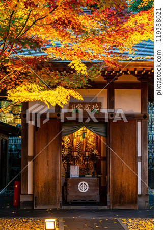 [Kanagawa Prefecture] Illuminated Jizo Hall and autumn leaves at Hasedera Temple 119388021