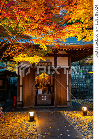 [神奈川縣]長谷寺的地藏殿燈火通明和秋葉 119388024