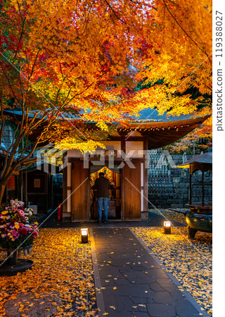 [Kanagawa Prefecture] Illuminated Jizo Hall and autumn leaves at Hasedera Temple 119388027