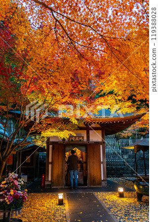 [Kanagawa Prefecture] Illuminated Jizo Hall and autumn leaves at Hasedera Temple 119388028