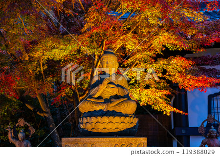 [Kanagawa Prefecture] Illuminated Shaka Nyorai statue and autumn leaves at Hasedera Temple 119388029