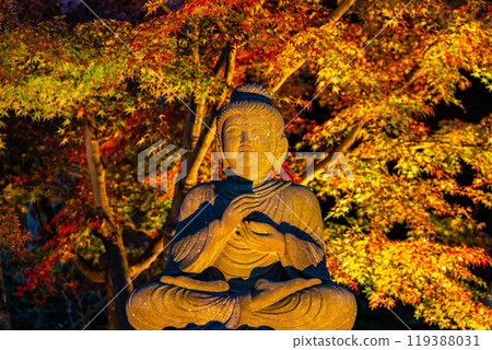 [Kanagawa Prefecture] Illuminated Shaka Nyorai statue and autumn leaves at Hasedera Temple 119388031