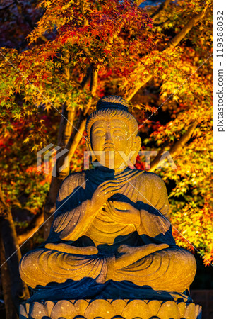 [Kanagawa Prefecture] Illuminated Shaka Nyorai statue and autumn leaves at Hasedera Temple 119388032