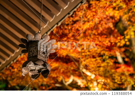 [Kanagawa Prefecture] Fiery autumn leaves illuminated at Hasedera Temple 119388054