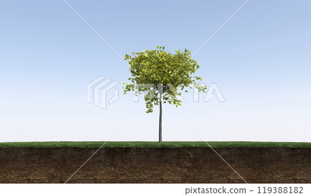 tree on the grass and a slice of soil under it, 3d render 119388182