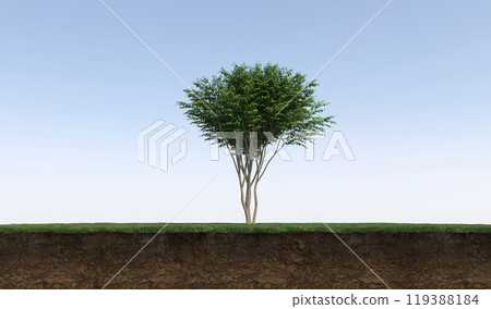 tree on the grass and a slice of soil under it, 3d render tree on the grass and a slice of soil under it, 3d render 119388184