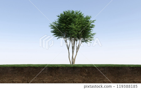 tree on the grass and a slice of soil under it, 3d render tree on the grass and a slice of soil under it, 3d render 119388185