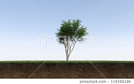 tree on the grass and a slice of soil under it, 3d render tree on the grass and a slice of soil under it, 3d render 119388186