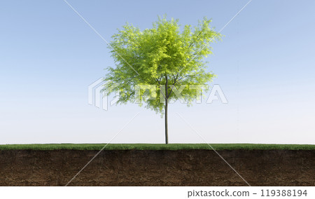 tree on the grass and a slice of soil under it, 3d render 119388194