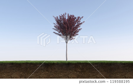 tree on the grass and a slice of soil under it, 3d render 119388195