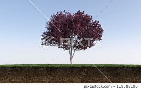 tree on the grass and a slice of soil under it, 3d render tree on the grass and a slice of soil under it, 3d render 119388196