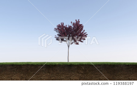 tree on the grass and a slice of soil under it, 3d render 119388197