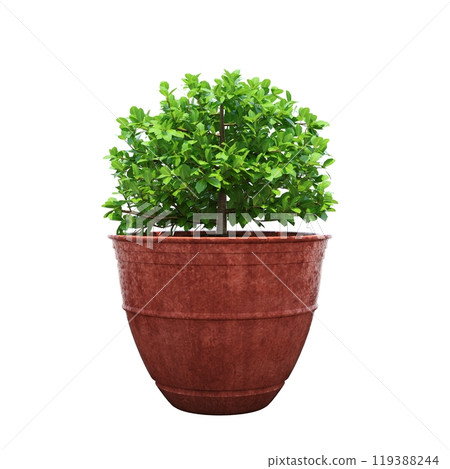 decorative flower in a pot isolated on white background, 3D illustration, cg render decorative flower in a pot isolated on white background, 3D illustration, cg render 119388244