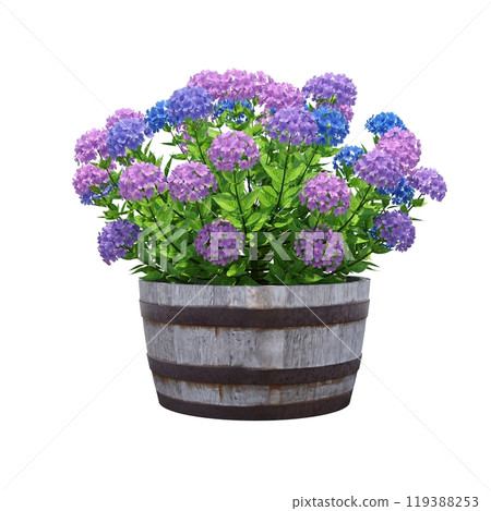 decorative flower in a pot isolated on white background, 3D illustration, cg render 119388253
