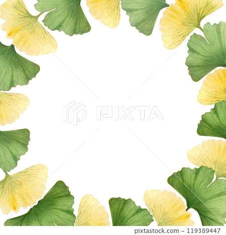 Ginkgo biloba, maidenhair tree vibrant green and yellow leaves frame. High quality hand-painted detailed textured watercolor frame perfect for cards, botanical designs, supplement packages decor 119389447