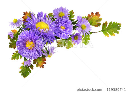 Purple flowers (aster and chrysanthemum) with seasonal leaves in a corner autumn arrangement isolated on white 119389741