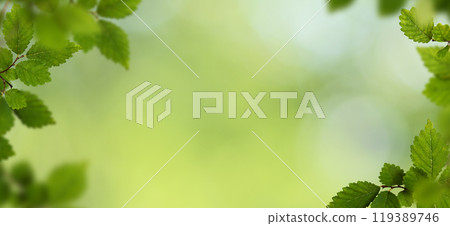 Natural frame with fresh leaves on green background Natural frame with fresh leaves on green background 119389746