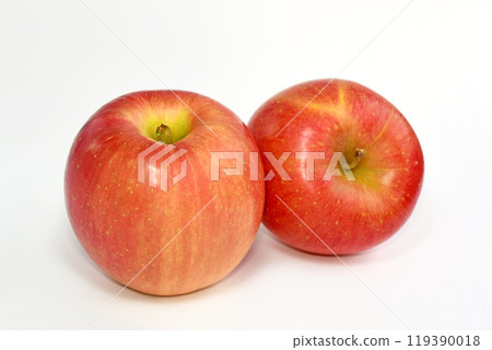 Apple (Akita Fuji) Apple (Akita Fuji) 119390018