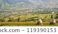 Two haystacks against the backdrop of fields and a village in the Carpathian Mountains of Ukraine 119390153