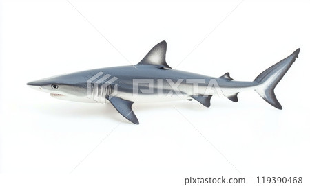 detailed illustration captures a Blue Shark emphasizing its streamlined body and characteristic coloration highlighting its natural beauty and grace. 119390468