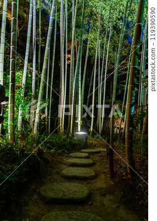 [神奈川縣] 長谷寺竹林點燈 119390590