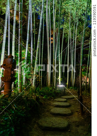 [神奈川縣] 長谷寺竹林點燈 119390591