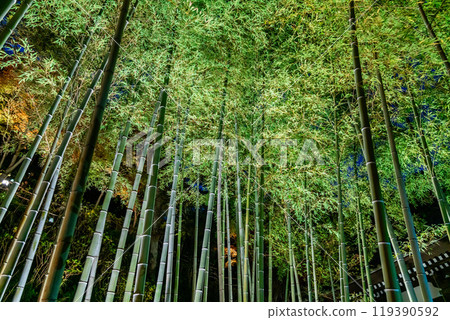 [神奈川縣] 長谷寺竹林點燈 119390592