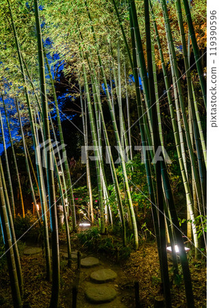 [神奈川縣] 長谷寺竹林點燈 119390596